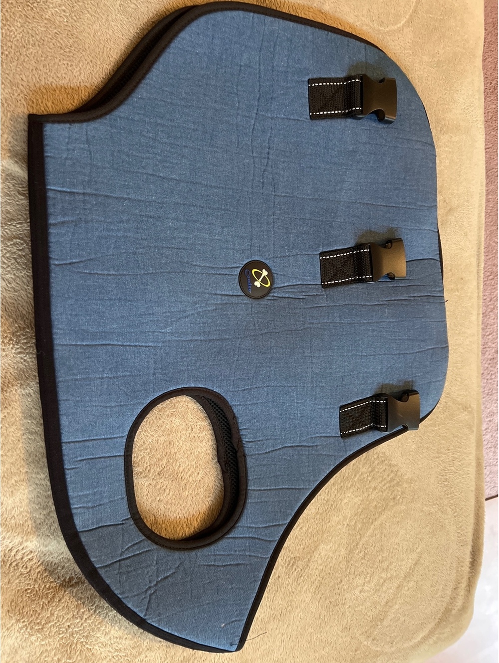 Coodeo XL Adjustable Blue and Black Protective Vest with Buckle Closures